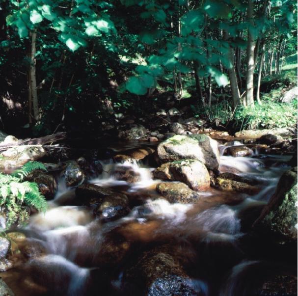 Hensbacka Herrgard มุนเคดอล ภายนอก รูปภาพ