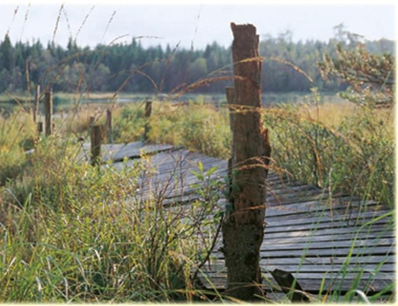 Hensbacka Herrgard มุนเคดอล ภายนอก รูปภาพ
